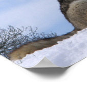 Winter Gray Wolf Howling Poster (Hoek)