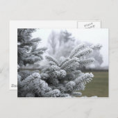 WINTER GREETINGS BRIEFKAART (Voorkant / Achterkant)