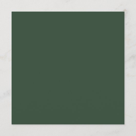 Winter groen kerstvakantie groet feestdagenkaart (Achterkant)