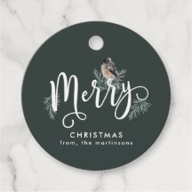 Winter Groene Kerstmis met Gezellige Vogelvakantie