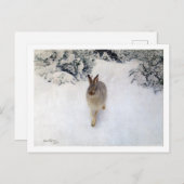 Winter Hare (Rabbit), Bruno Liljefors Briefkaart (Voorkant / Achterkant)