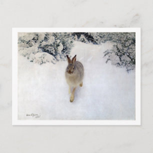 Winter Hare (Rabbit), Bruno Liljefors Briefkaart