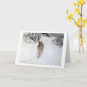 Winter Hare (Rabbit), Bruno Liljefors Kaart (Gele Bloem)