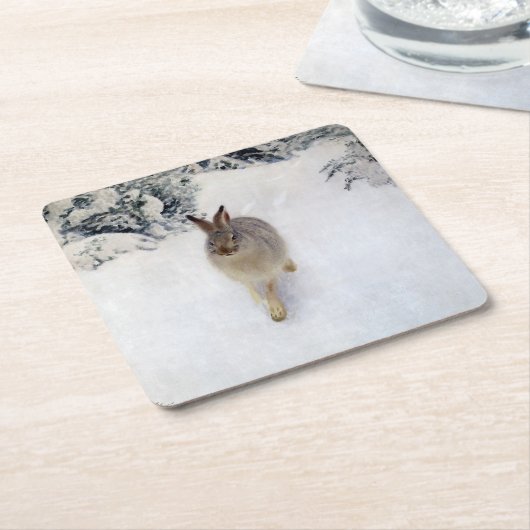 Winter Hare (Rabbit), Bruno Liljefors Kartonnen Onderzetters (Schuin)