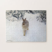 Winter Hare (Rabbit), Bruno Liljefors Legpuzzel (Horizontaal)