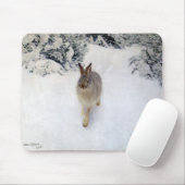 Winter Hare (Rabbit), Bruno Liljefors Muismat (Met muis)