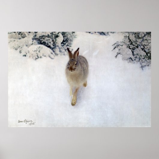 Winter Hare (Rabbit), Bruno Liljefors Poster (Voorkant)