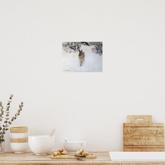 Winter Hare (Rabbit), Bruno Liljefors Poster (Keuken)