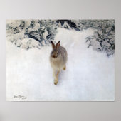 Winter Hare (Rabbit), Bruno Liljefors Poster (Voorkant)