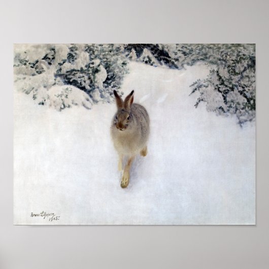 Winter Hare (Rabbit), Bruno Liljefors Poster (Voorkant)