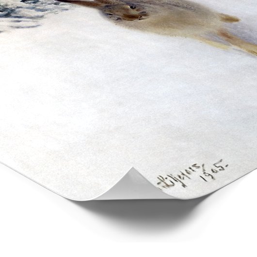 Winter Hare (Rabbit), Bruno Liljefors Poster (Hoek)