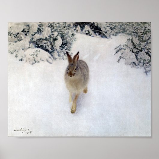 Winter Hare (Rabbit), Bruno Liljefors Poster (Voorkant)