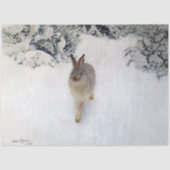 Winter Hare (Rabbit), Bruno Liljefors Tissuepapier (Voorkant)