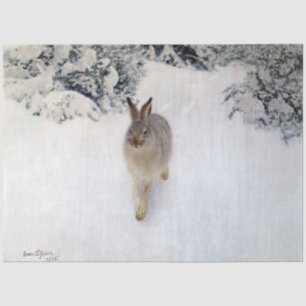 Winter Hare (Rabbit), Bruno Liljefors Tissuepapier