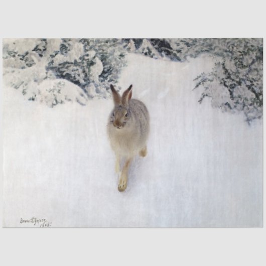 Winter Hare (Rabbit), Bruno Liljefors Tissuepapier (Voorkant)