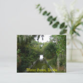 Winter Haven, Fl Briefkaart (Staand voorkant)