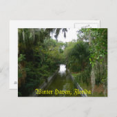Winter Haven, Fl Briefkaart (Voorkant / Achterkant)