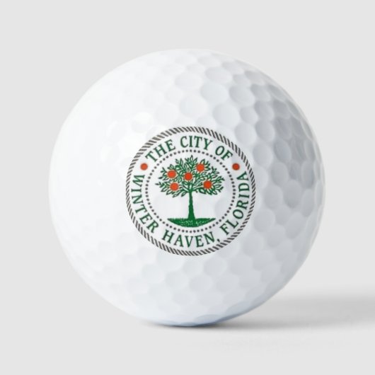 WINTER HAVEN FLORIDA GOLFBALLEN (Voorkant)