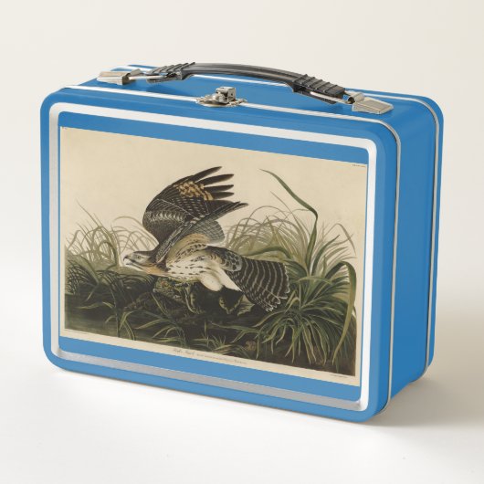 Winter Hawk, John James Audubon's Birds of America (Voorkant)