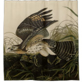 Winter Hawk, John James Audubon's Birds of America Douchegordijn (Voorkant)