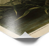 Winter Hawk, John James Audubon's Birds of America Foto Afdruk (Hoek)