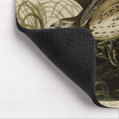 Winter Hawk, John James Audubon's Birds of America Muismat (Hoek)