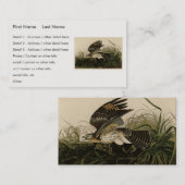 Winter Hawk, John James Audubon's Birds of America Visitekaartje (Voorkant / Achterkant)