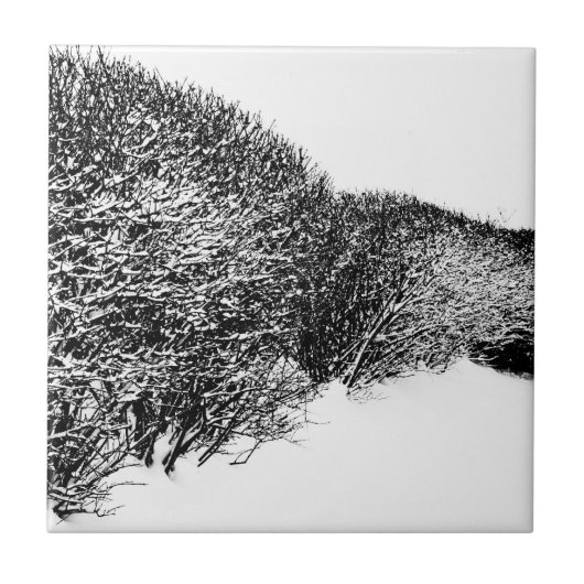 winter heg tegeltje (Voorkant)