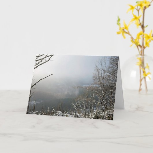 Winter het Macclesfield Forest Kaart (Gele Bloem)