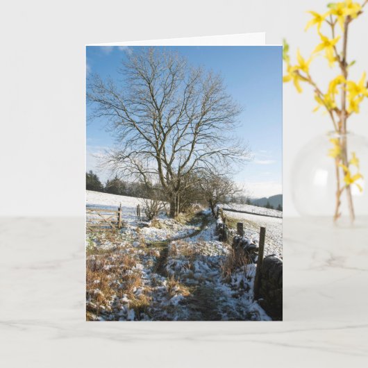 Winter het Macclesfield Forest Kaart (Gele Bloem)