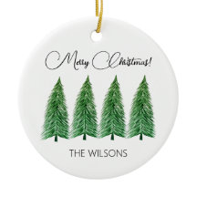 Winter Holiday Country Beauty