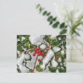Winter - Holly met ijs bekleed Briefkaart (Staand voorkant)