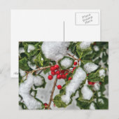 Winter - Holly met ijs bekleed Briefkaart (Voorkant / Achterkant)