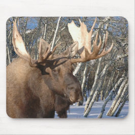 Winter Home Mousepad Muismat