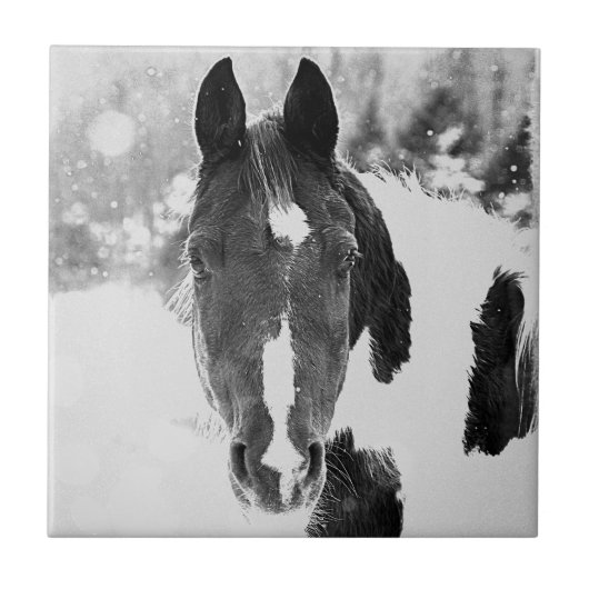 Winter Horse B&W Ceramic Tile Tegeltje (Voorkant)