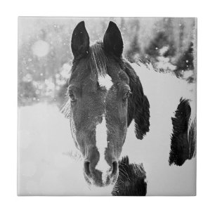 Winter Horse B&W-keramische tegel Tegeltje