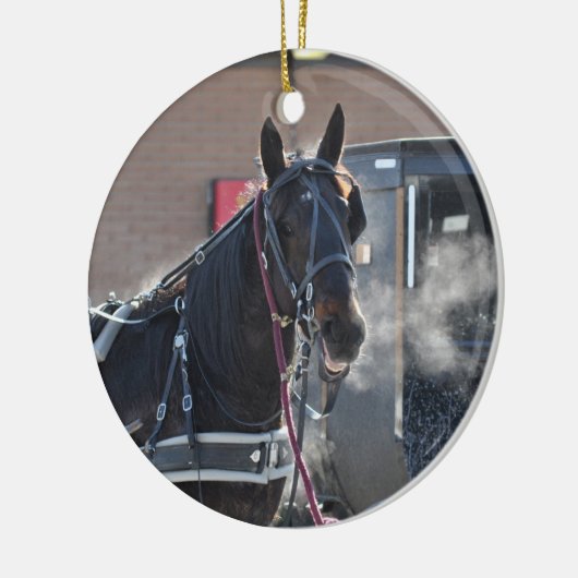 Winter Horse Hitch Keramisch Ornament (Links)