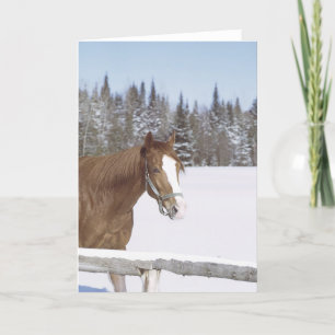 Winter Horse Snow Equine Xmas Holiday Feestdagen Kaart
