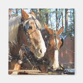 Winter Horses Sturbridge Village Magnet (Voorkant)