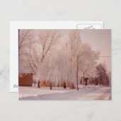 Winter Ice Briefkaart (Voorkant / Achterkant)