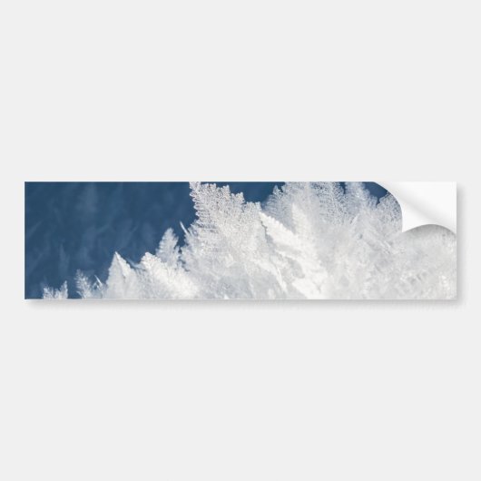 Winter Ice Crystals Bumpersticker (Voorkant)