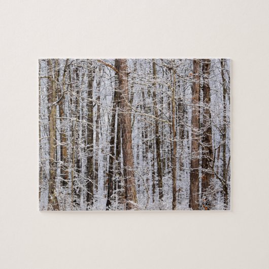 Winter Ice Storm in het bos - 8 x 10 inch Legpuzzel (Horizontaal)