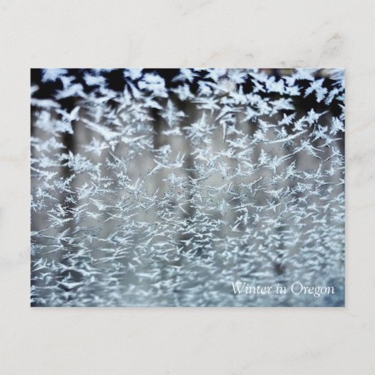 Winter Icicles Briefkaart (Voorkant)