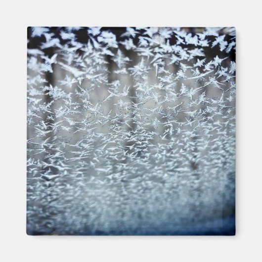 Winter Icicles Magneet (Voorkant)