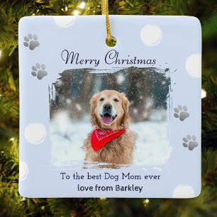 Winter Ijs Blauwe Hond Moeder Huisdier Foto Kerstm Keramisch Ornament