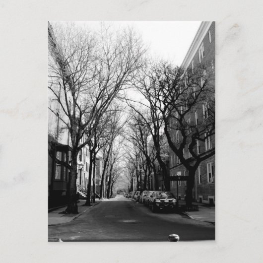 Winter in Brookly, NY Briefkaart (Voorkant)