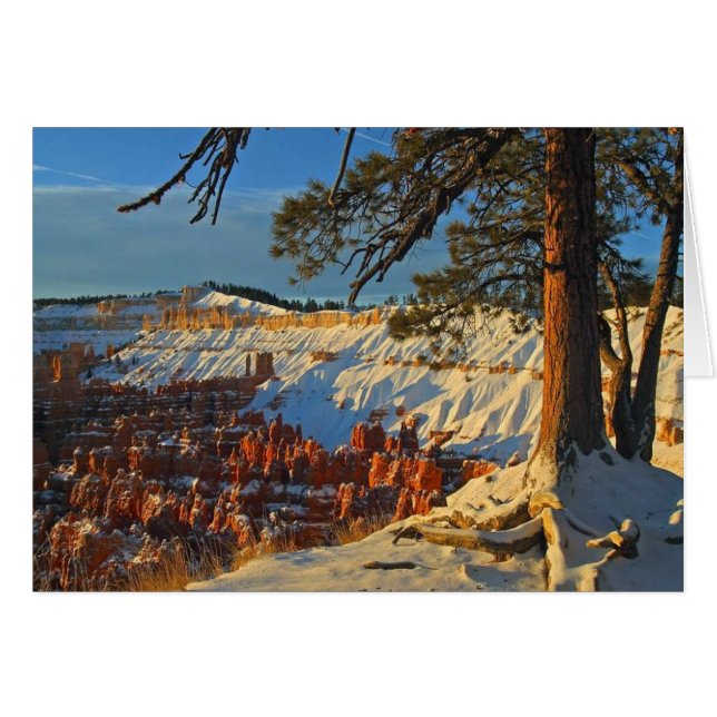 Winter in Bryce Canyon (Voorkant Horizontaal)