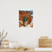 Winter in Bryce Canyon National Park Poster (Keuken)