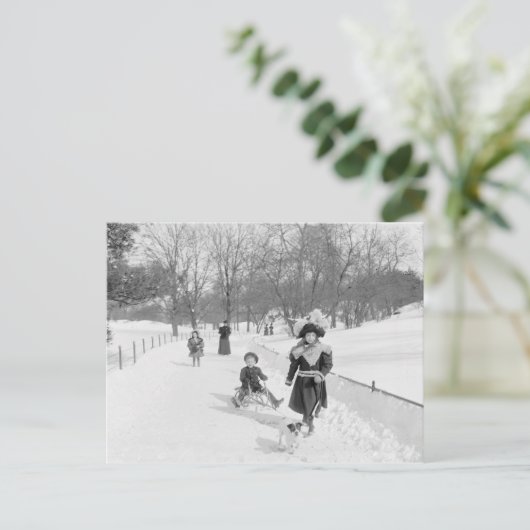 Winter in Central Park, 1900 Briefkaart (Staand voorkant)