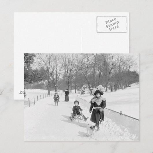 Winter in Central Park, 1900 Briefkaart (Voorkant / Achterkant)